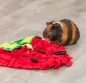 Preview: Schnüffelteppich